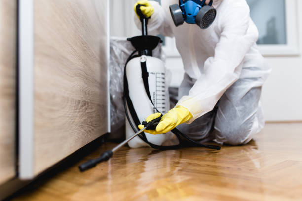 Trusted Lagrange, IN Pest Control Experts