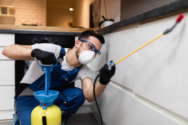 Best Affordable Pest Control Services  in Lagrange, IN