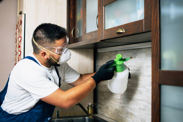 Best Flea Control Services  in Lagrange, IN