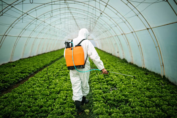 Best Best Pest Control Companies  in Lagrange, IN