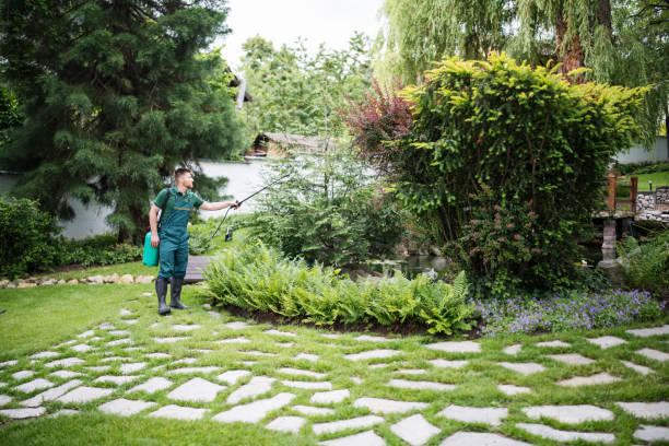 Best Residential Pest Control  in Lagrange, IN