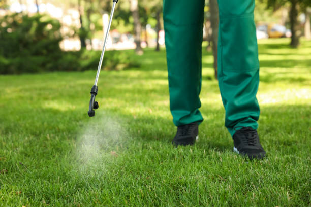 Best Termite Control Services  in Lagrange, IN