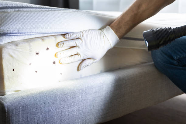 Best Pest Prevention Services  in Lagrange, IN